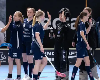 Anders Schough Älvsjö AIK IBF2