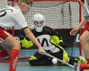 Malvakt Och Spelare FPC