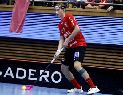 Gabrielkohonen Storvretaibk