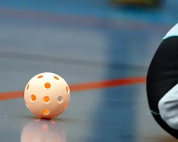 Boll Och Malvaktsben