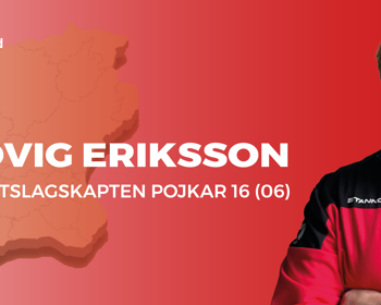 HEMSIDA LUDVIG ERIKSSON