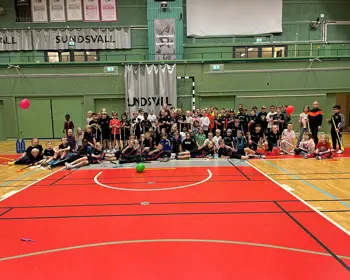 Disco Hela Gänget