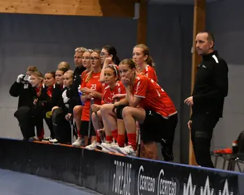 Bild DSM