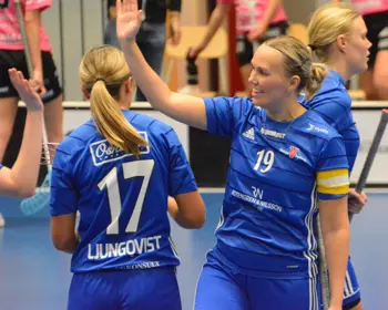 Vetlanda Foto 1