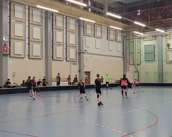 SKOLSLAGETSS