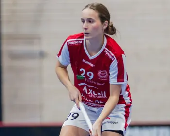 Bild Hovs Marcus Vilson