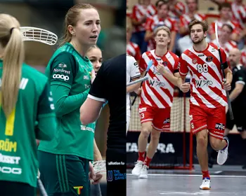 CC Split Thorengruppendam Pixboherr