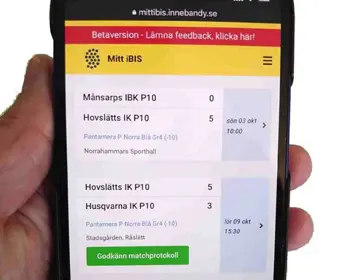 Mittibis Datorbild