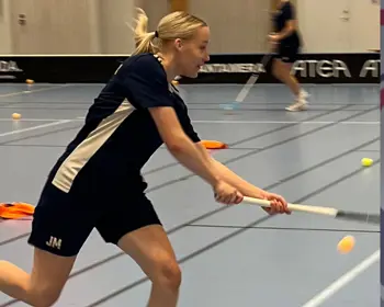 Bild Växjö Vipers