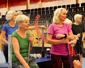 #Motionsinnebandy Logga