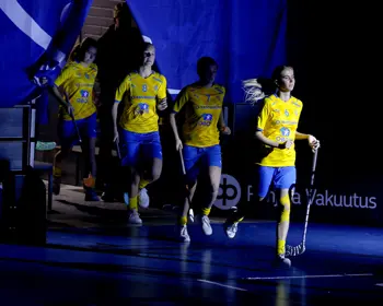 U19damintro