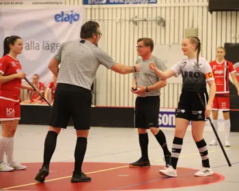 Domare Och Spelare