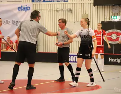 Domare Och Spelare
