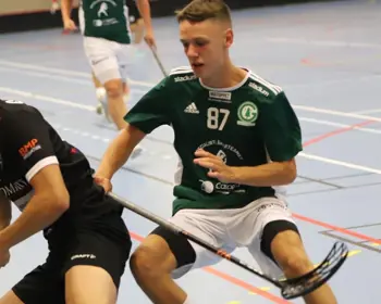 Bild Gransholm