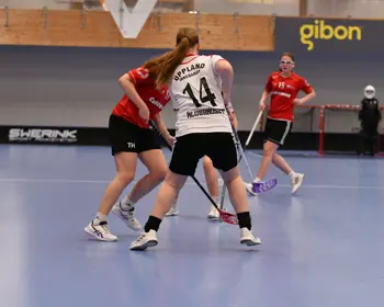 52905399028 Df1daa0fa5 K