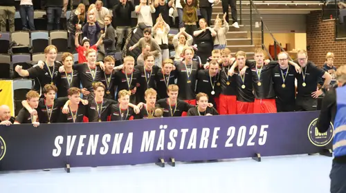 DSM Guld P16 2025