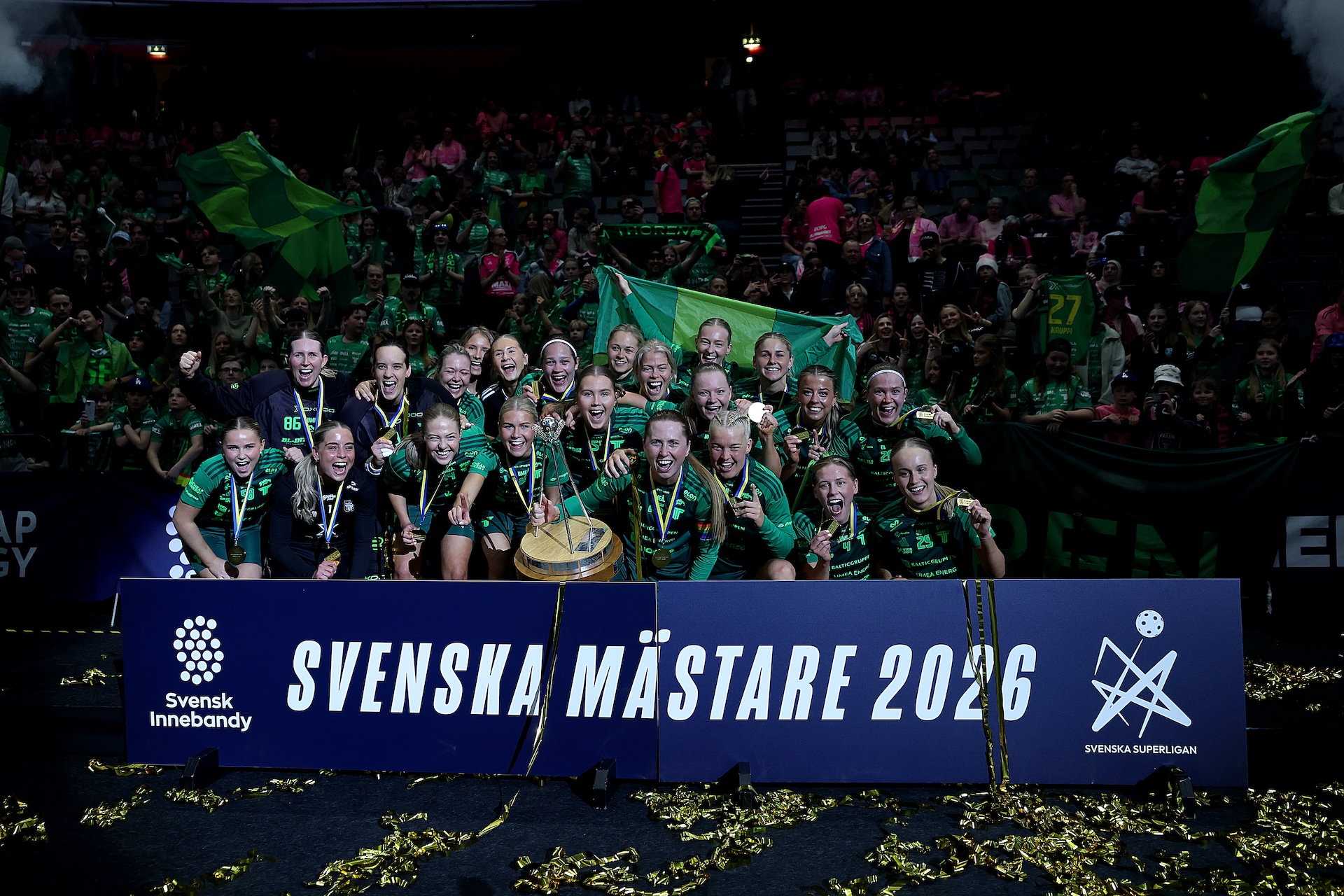 Smguldthorengruppen6