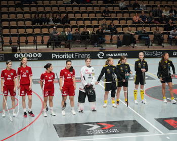 Gotlandsresan Endre Huddinge Innan Match