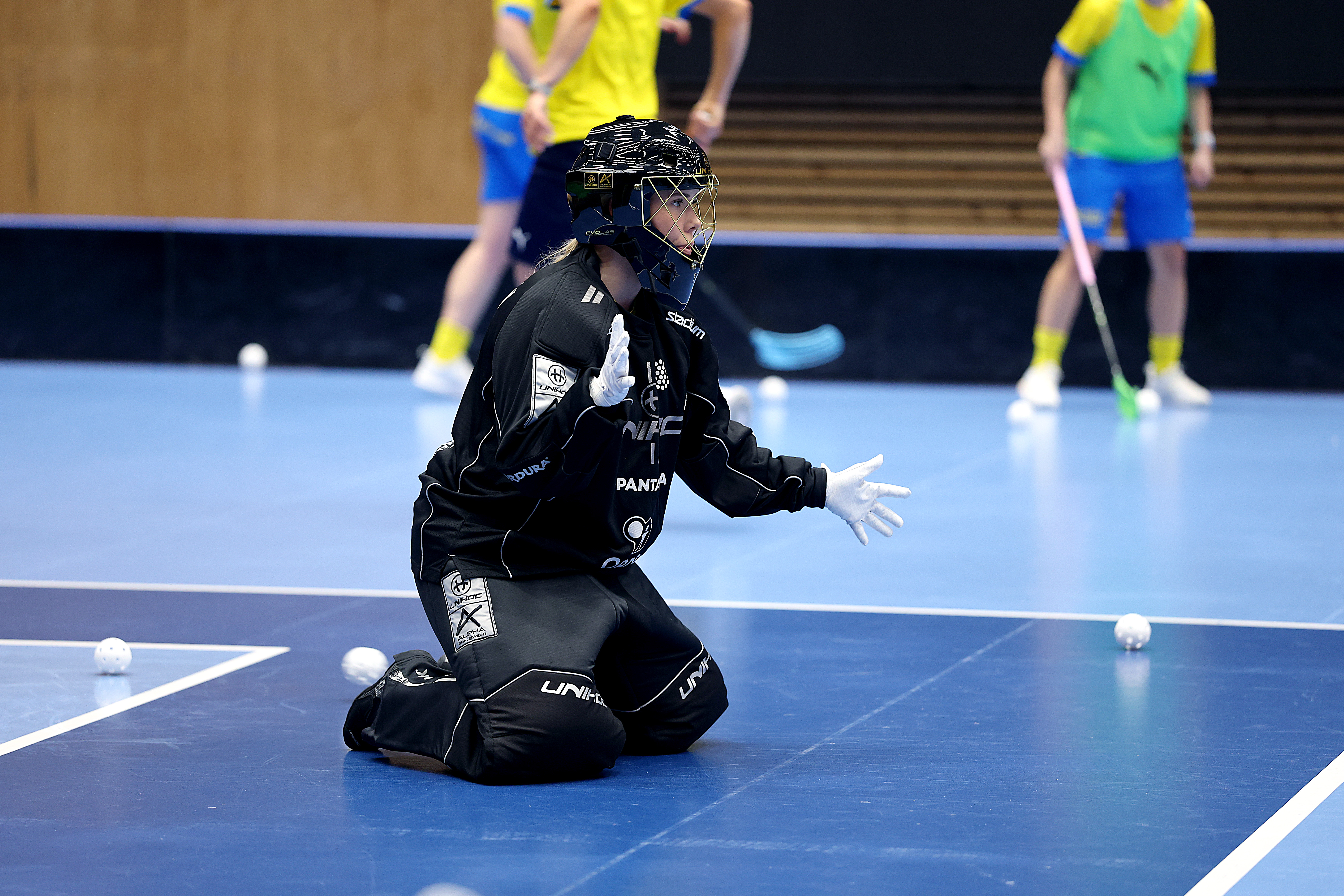Östlundvisen