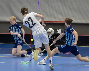 Herrjunior Djurgårdens IF IBS Vs Farsta IBK 89