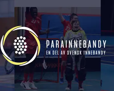 Parainnebandy; En Del Av Svensk Innebandy (1)