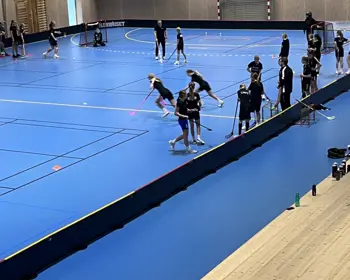 Spelarutveckling Bild 1 2023 10 31