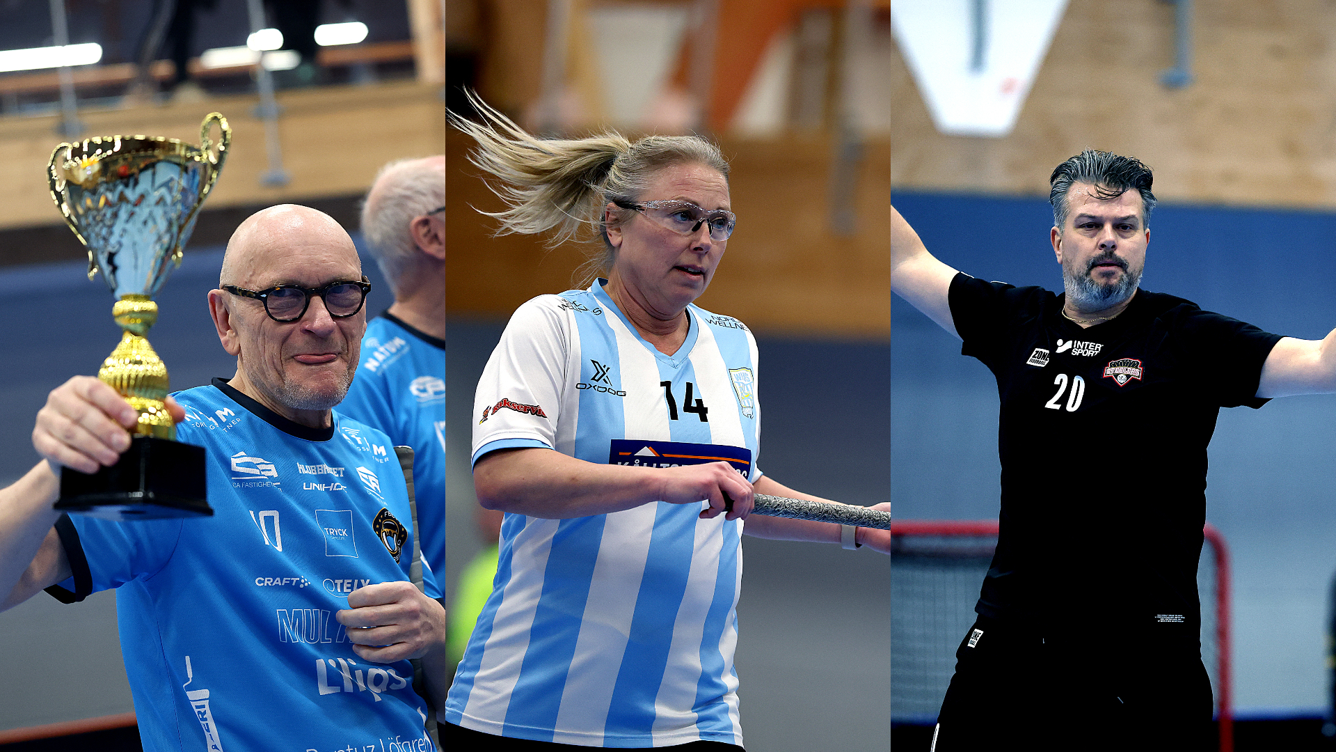 Veteransmbildhemsida