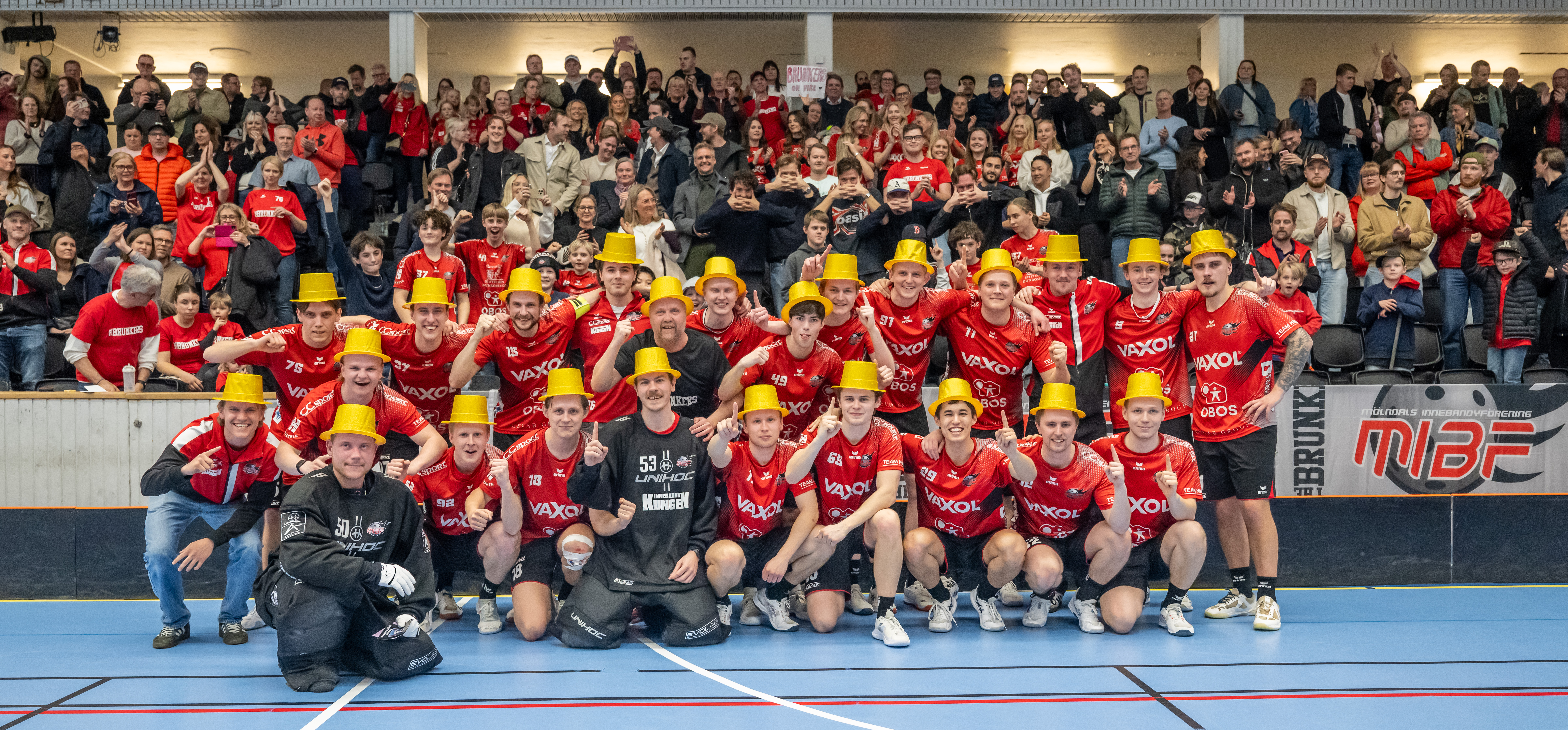 Mölndal 1 Roinefoto