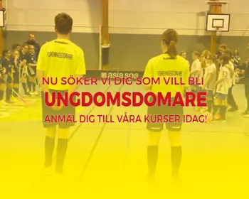 Reklam Domarkurser Hemsida UD