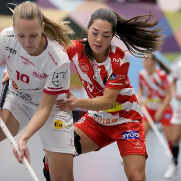 Förbundsserier - SSL, Allsvenskan, Herrar div 1