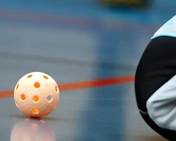 Boll Och Målvaktsben