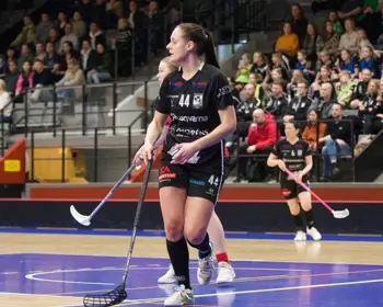 Foto Evelina Persson