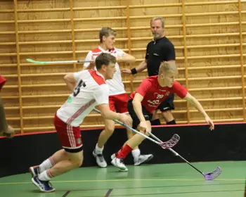 Ingelstad H2