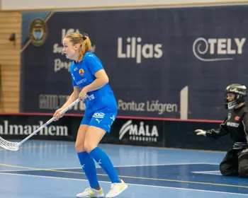 CL98IC Spelare Nya