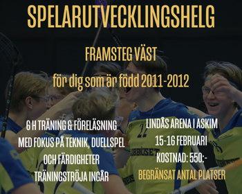 Spelarutveckling 2