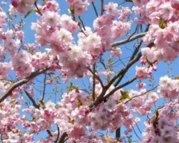 Bild 2023 05 16 112617080