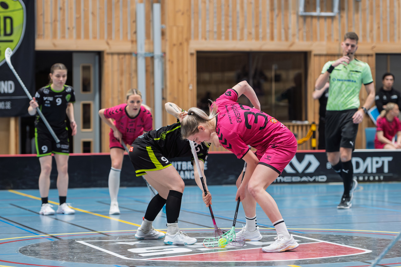 Skanederby