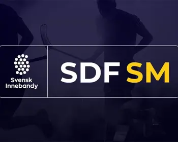 Sdfsm