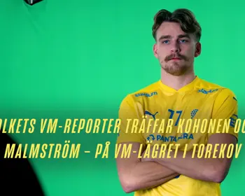 Malmströmnagel