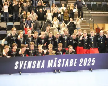 Sm Guld