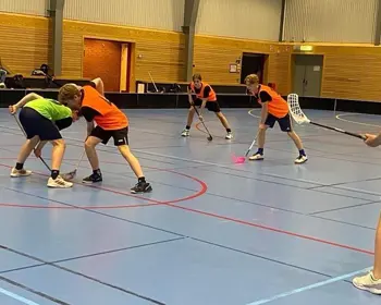 Distriktslagsnyhet: Klara spelare till uttagningshelg 3