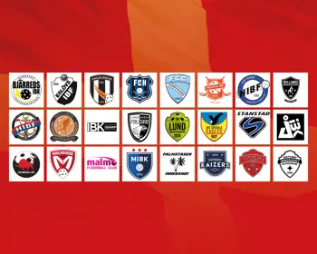 Rapport Från Årsmöte (1)