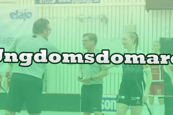 Ungdomsdomare Kopiera