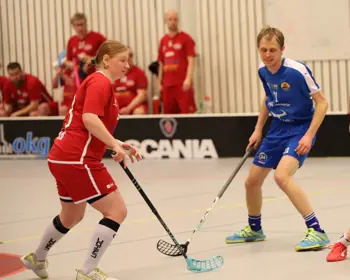 Parasport Match