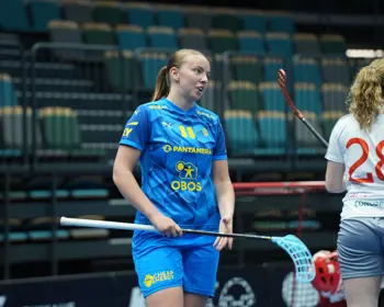 Ellenlundinswe
