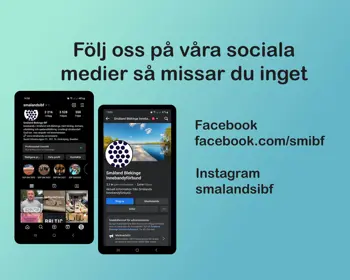 Sociala Medier