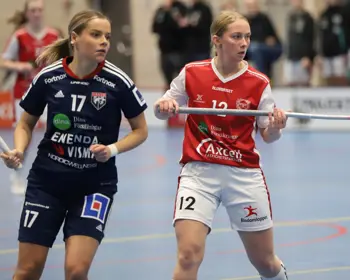 Växjö Och Hovslätt