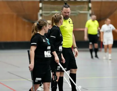 Domare i samspråk med spelare