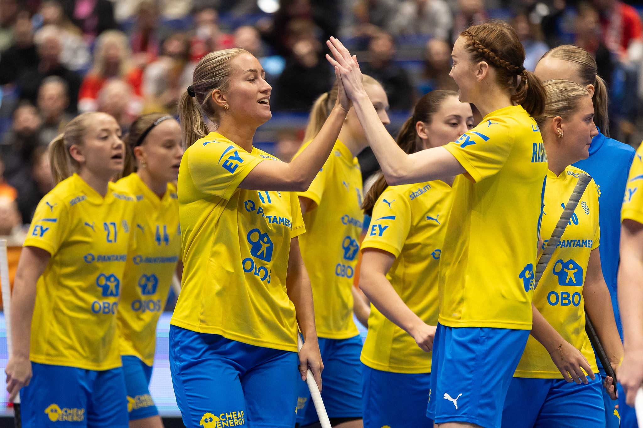 54982343517 315Cdc1d8d K