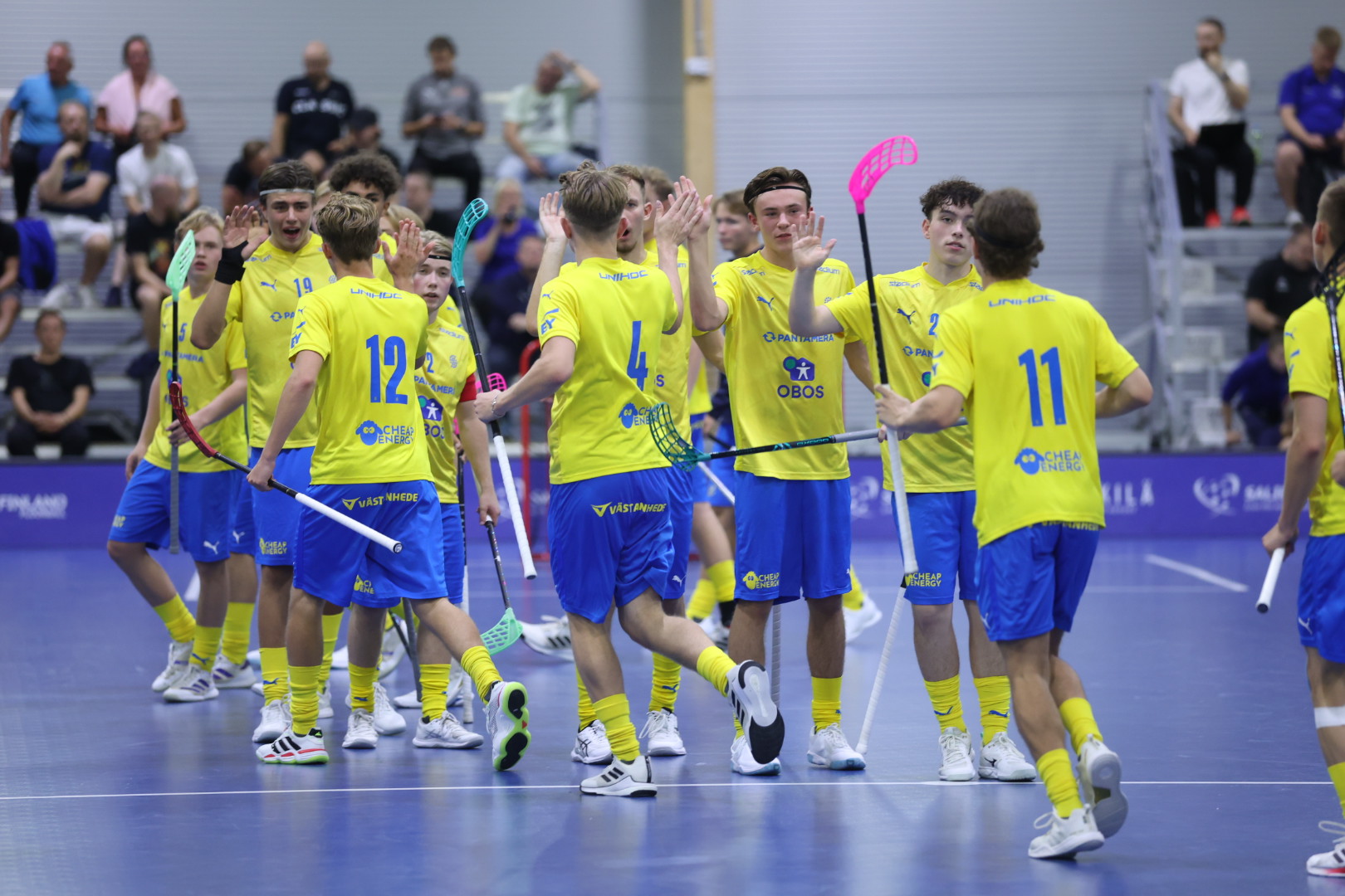 Sverige Pojkaru19